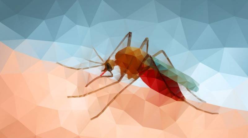 خون کے خلیات کے ذریعے ملیریا کے علاج کی امید
