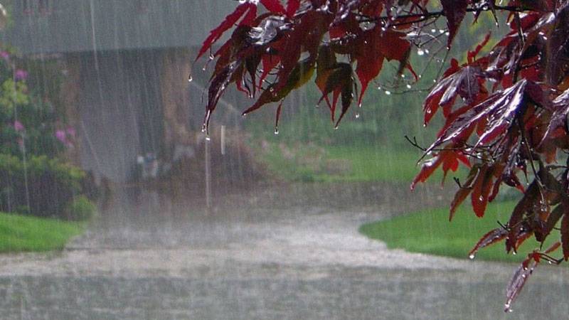 اسلام آباد اور کشمیر سمیت بعض مقامات پر گرج چمک کیساتھ بارش کی توقع ہے: محکمہ موسمیات 