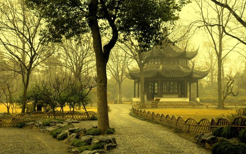 چین کا حیران کر دینے والا پارک دن بدن دنیا کی توجہ کا مرکز بننے لگا 