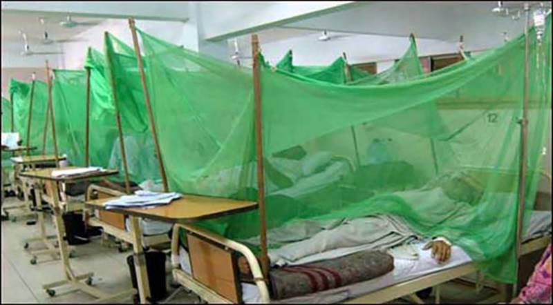پشاور میں ڈینگی کے مزید 3 مریض دم توڑ گئے، ہلاکتیں 18 ہوگئیں