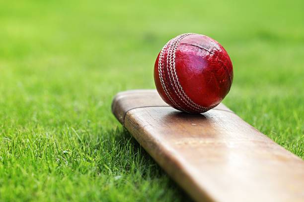 پاکستان بلائنڈ کرکٹ ورلڈ کپ لیے چار سو گیندیں فراہم کرے گا