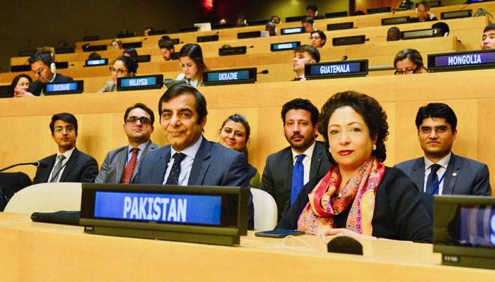 پاکستان اقوام متحدہ کی غیر سرکاری تنظیموں کی کمیٹی کا رکن منتخب