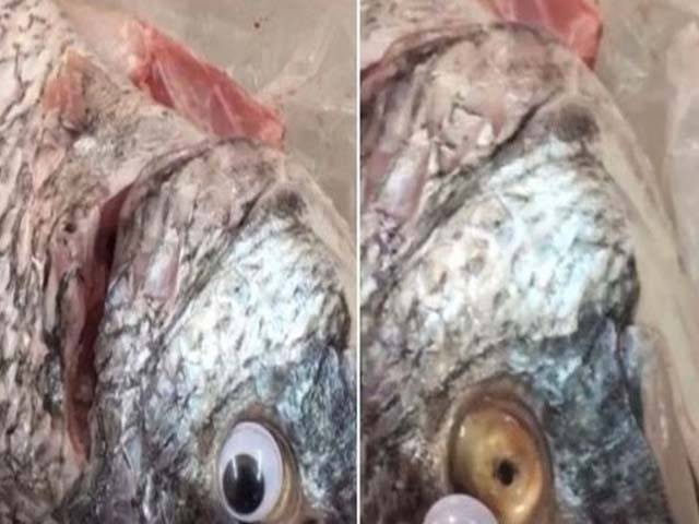 کویت میں‌مچھلیاں بیچنے والے کی مچھلیوں‌کے ساتھ ایسی گھٹیا حرکت کہ جان کر شدید غصہ آجائے