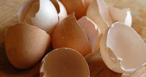 انڈے کا چھلکا کھانے کے حیران کن فوائد سامنے آگئے