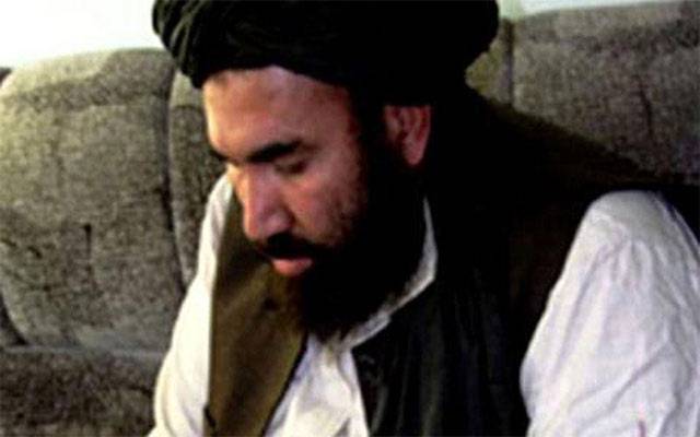 افغان طالبان نے ملا عبدالغنی برادر کو امریکہ کے ساتھ مذاکرات کے لیے امیر مقرر کر دیا 