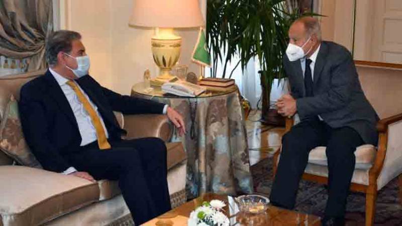 دس سال سے پاکستان اور مصر کے تعطل کا شکار تعلقات بحال ہو چکے ہیں، وزیر خارجہ