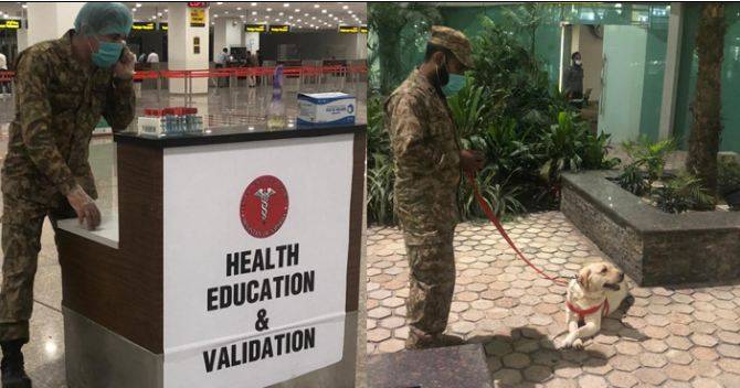 کورونا کے مریضوں کی نشاندہی کے لئے باچا خان ائر پورٹ پر پاک فوج کے سدھائے کتے تعینات 