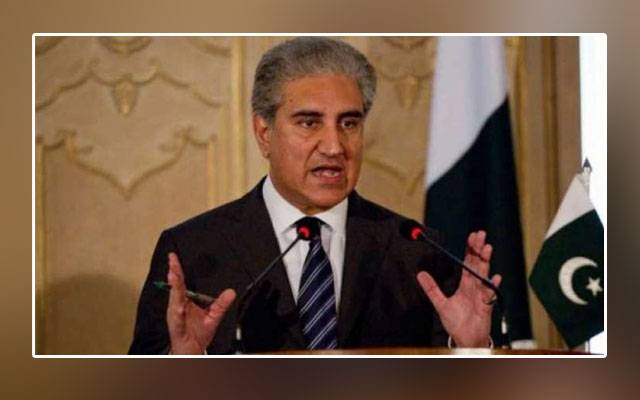 Bilawal Bhutto, parliamentary traditions, Shah Mehmood Qureshi, PTI government