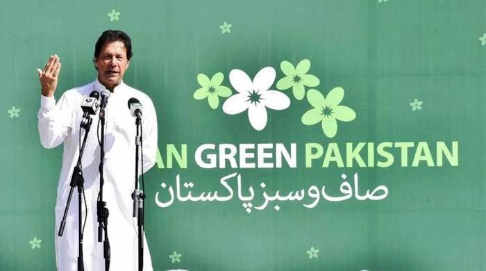 Pakistan Day,14 August,Green Pakistan Day