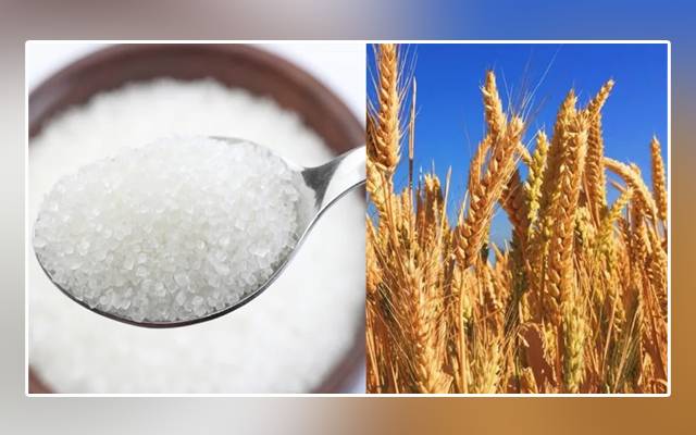 Wheat, sugar prices, Leader Farmers Alliance, PTI government, Imran Khan