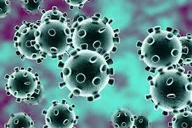 کورونا وائرس حیاتیاتی ہتھیار کے طور پر تیار نہیں کیا گیا، امریکی رپورٹ 