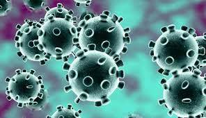 کورونا وائرس سے مرنے والوں کی تعداد میں ایک بار پھر اضافہ 