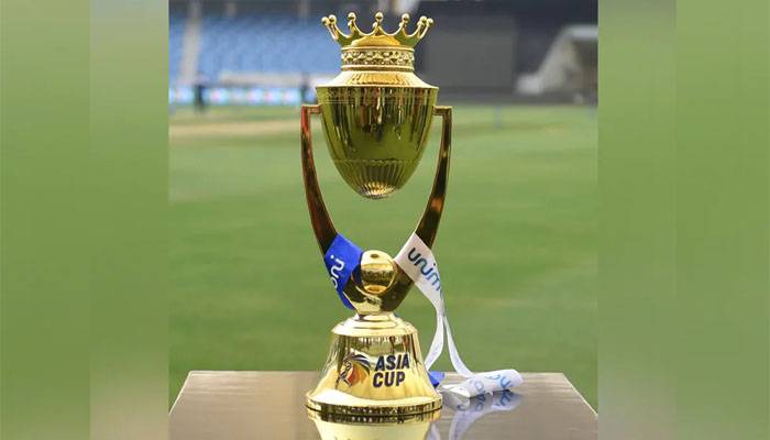 Asia Cup 2021, Pakistan Under 19 Cup