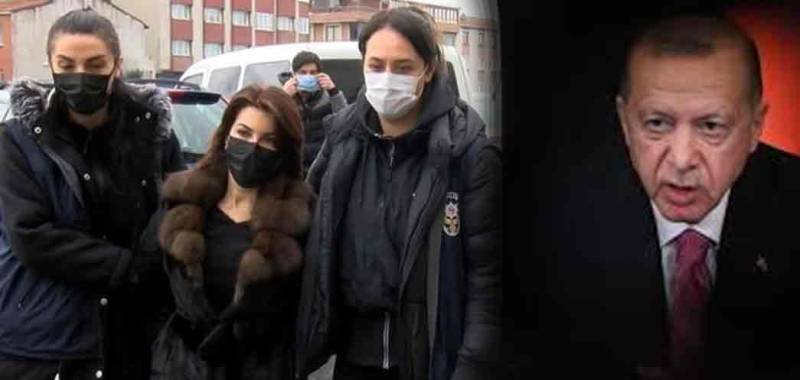 توہین کا الزام، ترک صدر کا معروف خاتون صحافی کو سخت سزا دینے کا اعلان