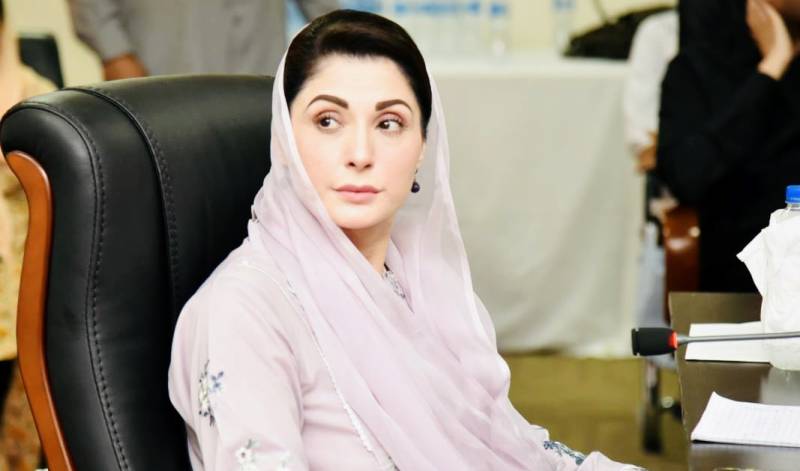 میڈیا پر فتنہ خان کا رونا دھونا بنتا ہے: مریم نواز