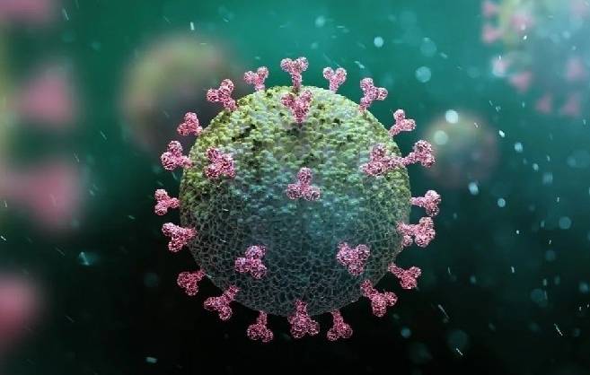 پاکستان میں کورونا وائرس کے مثبت کیسز کی شرح 2.91 فیصد ہو گئی