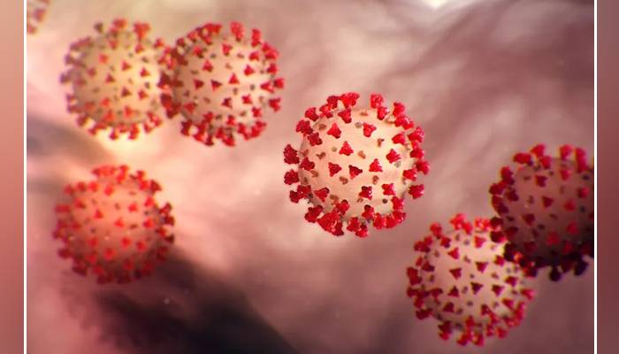 پاکستان میں کورونا وائرس سے مزید 2 افراد انتقال کر گئے