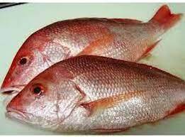 کراچی کے ماہی گیروں کے ہاتھ قیمتی مچھلیوں کا جھنڈ لگ گیا 