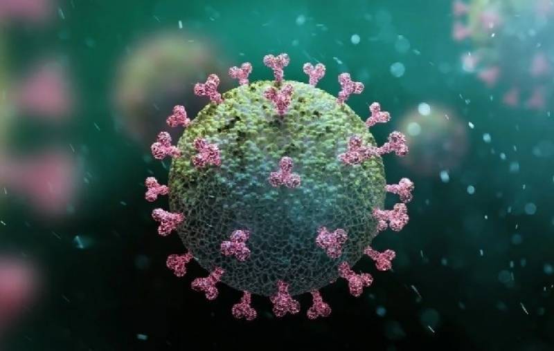 پاکستان میں کورونا وائرس کے کیسز میں کمی