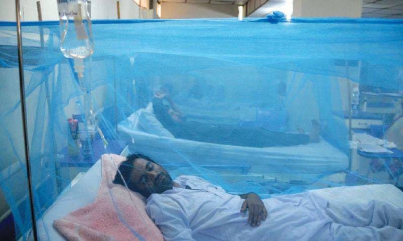 اسلام آباد: پولی کلینک ہسپتال میں ڈینگی کی ایکسپائر ٹیسٹ کٹس استعمال کیے جانے کا انکشاف 