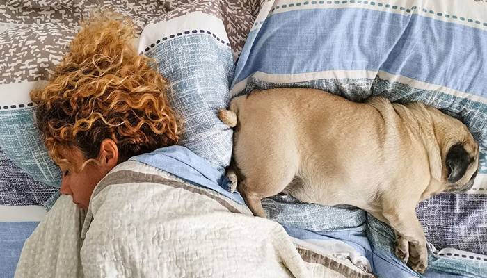 جانیئے کیسے آپ کا پیارا پالتو جانور آپ کی نیند کو نقصان پہنچا سکتا ہے 