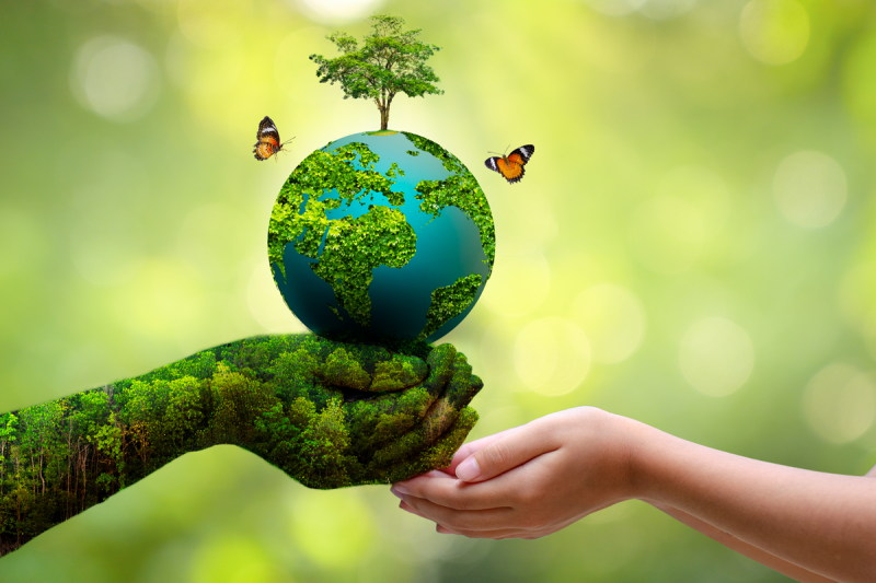 پاکستان سمیت دنیا بھر میں آج ماحولیات کا دن منایا جا رہا ہے