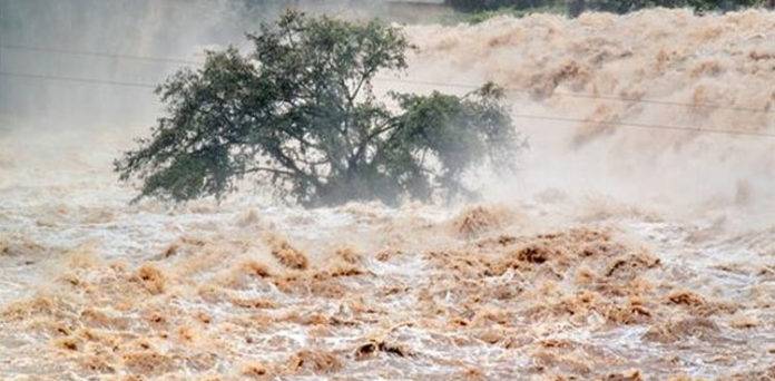 دریائے ستلج: پانی کی سطح میں مسلسل اضافہ، اونچے درجے کے سیلاب کی وارننگ جاری 