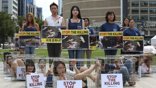 جنوبی کوریا میں کتے کا گوشت کھانے پر پابندی لگانے کا فیصلہ 