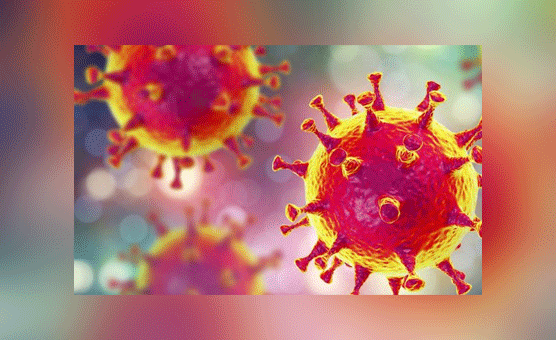 Corona virus began to spread havoc in Pakistan, the deadly virus took another 59 lives