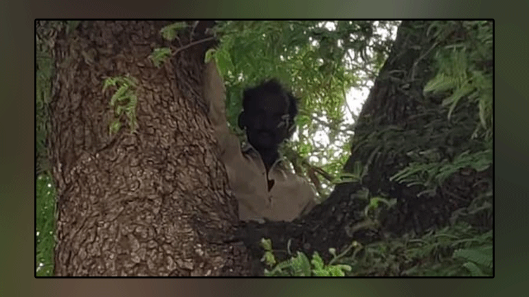 Man climbs tree with wife’s Aadhar card to avoid getting Covid vaccine in MP village