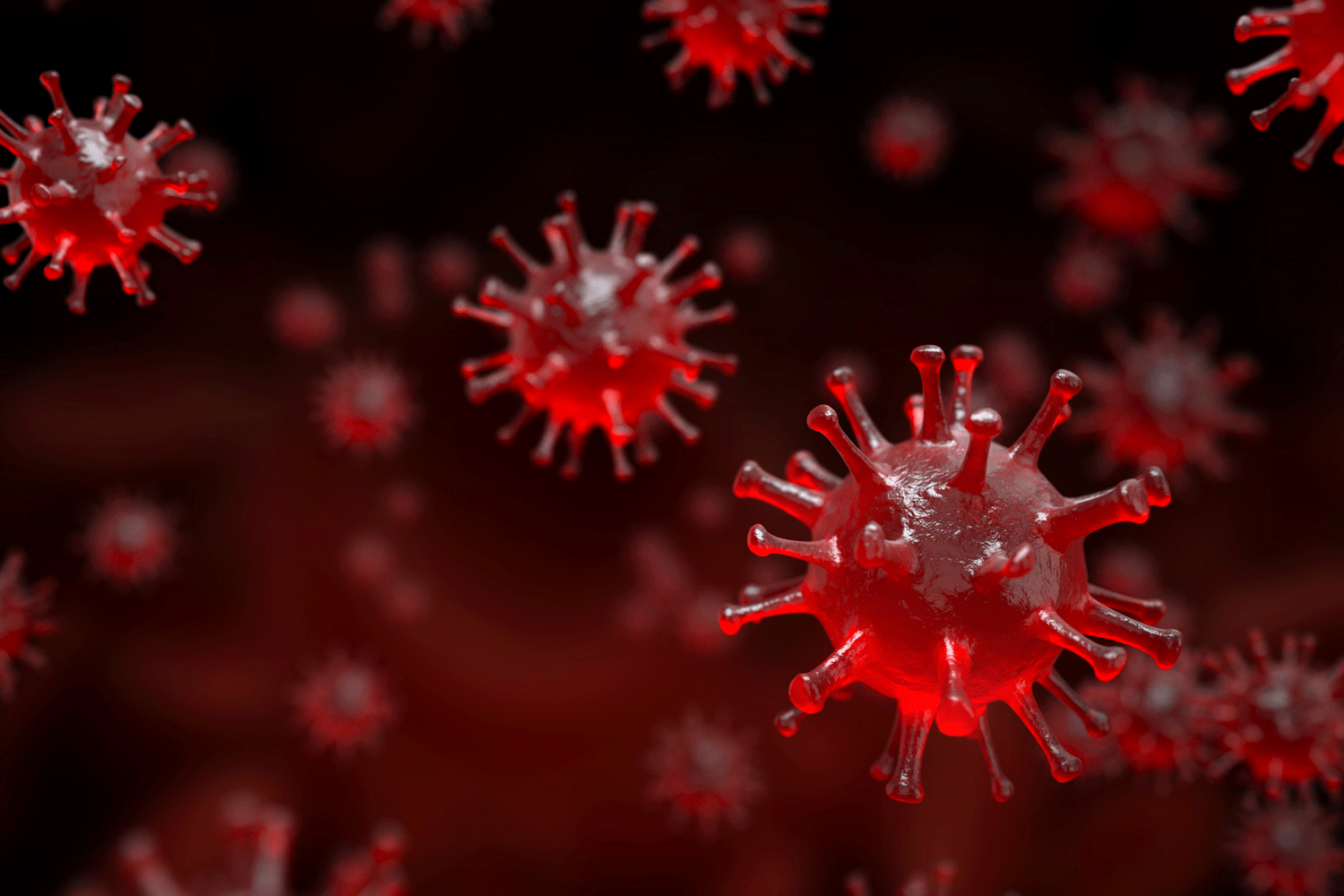Coronavirus outbreak in Pakistan begins to decline, reports of deaths